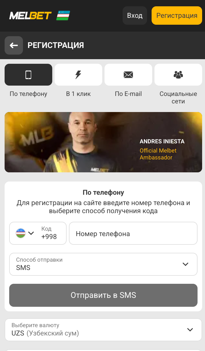 Пример мобильной страницы входа Melbet